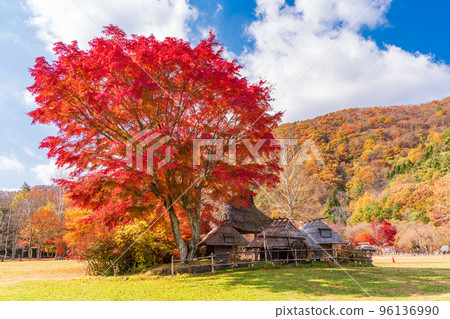 （山梨縣）西湖八丁之森公園紅葉 96136990
