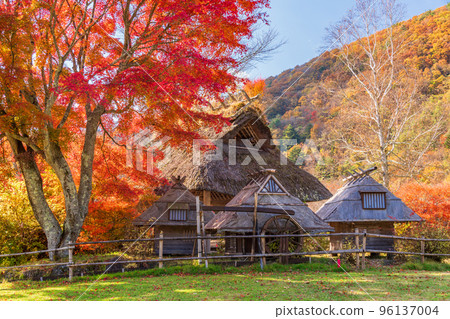 (山梨縣)西湖八丁之森公園紅葉 (山梨縣)西湖八丁之森公園紅葉 96137004