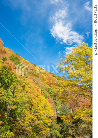 Looking up at Mt. Yamabuki from Tomoebuchi [Autumn] 96137138