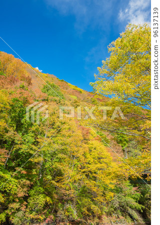 Looking up at Mt. Yamabuki from Tomoebuchi [Autumn] 96137139