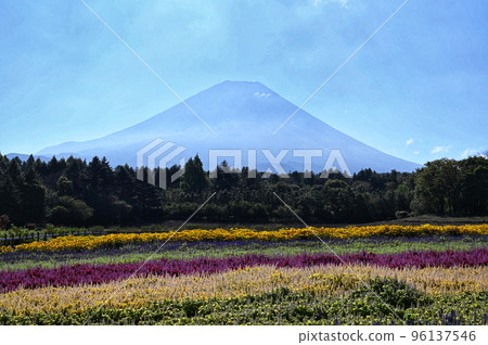 富士山和花毯 富士山和花毯 96137546