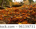 Kosetsuen in early autumn 96139731