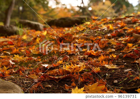 Kosetsuen in early autumn Kosetsuen in early autumn 96139731