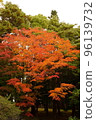 Kosetsuen in early autumn 96139732