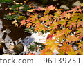 Kosetsuen in early autumn 96139751