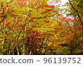 Kosetsuen in early autumn 96139752