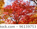 Kosetsuen in early autumn 96139753