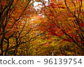 Kosetsuen in early autumn 96139754