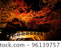 Autumn leaves, Momiji, Kosetsuen at night, illuminated 96139757