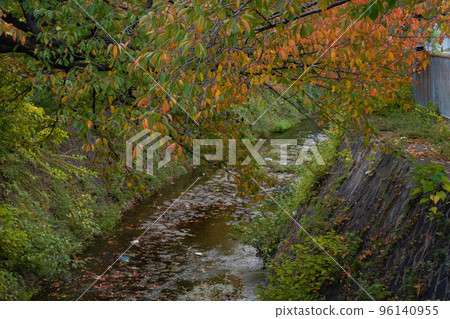 Scenery that feels autumn Scenery that feels autumn 96140955