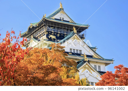 大阪市,大阪府大阪城堡塔和秋葉 大阪市,大阪府大阪城堡塔和秋葉 96141002