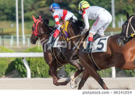 Horse racing scenery 96141054