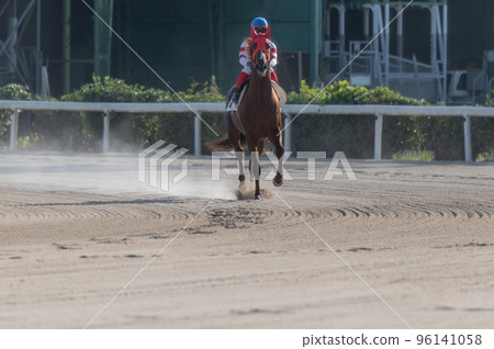 賽馬風光 96141058