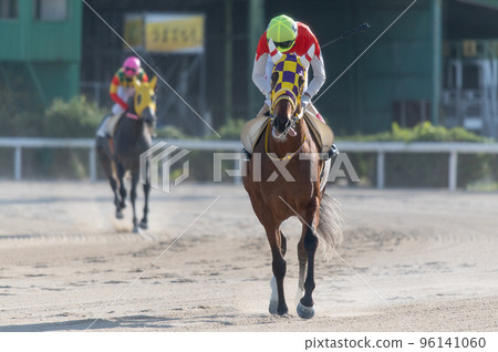 Horse racing scenery 96141060