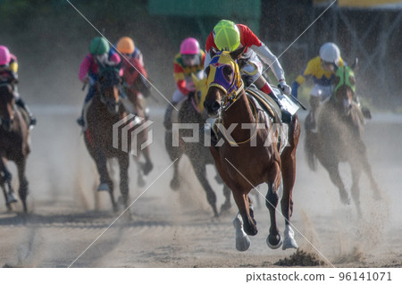 Horse racing scenery Horse racing scenery 96141071