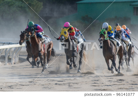 Horse racing scenery 96141077