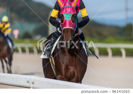 賽馬風光 96141083
