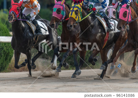 Horse racing scenery 96141086