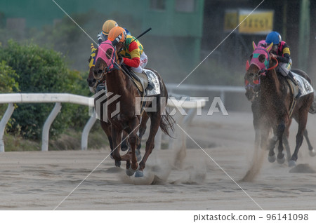 Horse racing scenery Horse racing scenery 96141098