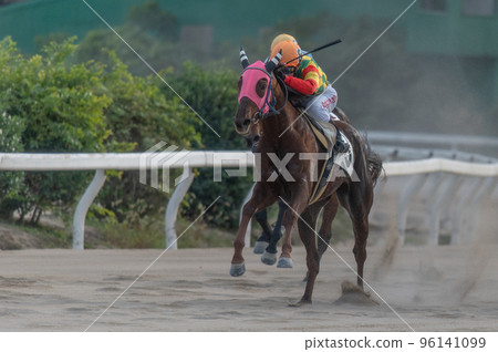 Horse racing scenery 96141099
