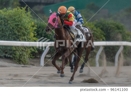 賽馬風光 賽馬風光 96141100