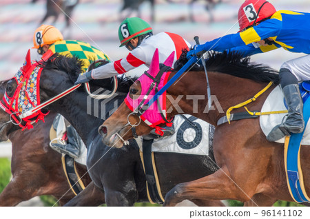 Horse racing scenery 96141102