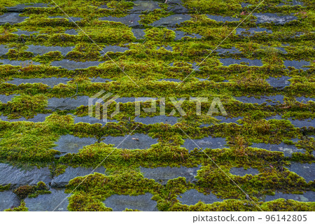 Green moss on a roof,  image Green moss on a roof,  image 96142805