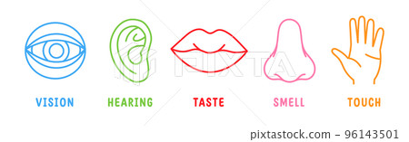 Five human senses. Vision, smell, hearing, touch, taste icons. Human sensory organs. Eye, nose, ear, hand, mouth icons. Five human senses. Vision, smell, hearing, touch, taste icons. Human sensory organs. Eye, nose, ear, hand, mouth icons. 96143501