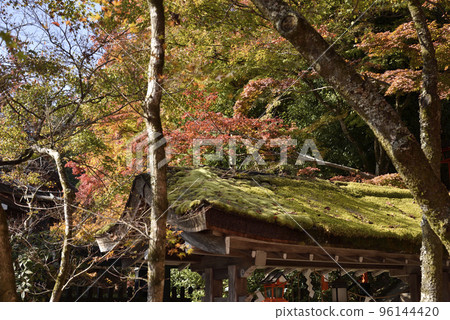 Kurama Temple seen from Tenporindo Kurama Temple seen from Tenporindo 96144420