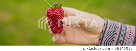 Young attractive woman eating a strawberry, outdoors BANNER, LONG FORMAT 96145053