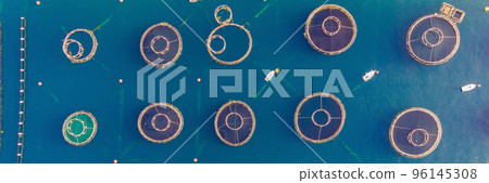 Oyster farm in the Mediterranean. Montenegro, Kotor BANNER, LONG FORMAT 96145308