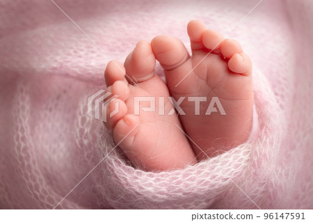 Knitted pink heart in the legs of a baby. Soft feet of a new born in a pink wool blanket. Close-up of toes, heels and feet of a newborn. Macro photography the tiny foot of a newborn baby. 96147591