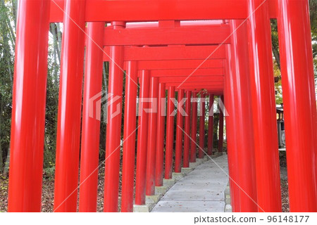 福島縣會津佐久市的Isasumi神社 96148177