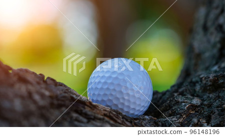 Close up dirty Golf ball in the bush. Macro of a golf ball in the rough 96148196