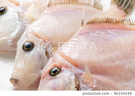 Filefish with skin removed. Filefish with skin removed. 96149249