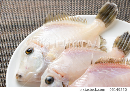 Filefish with skin removed. 96149250