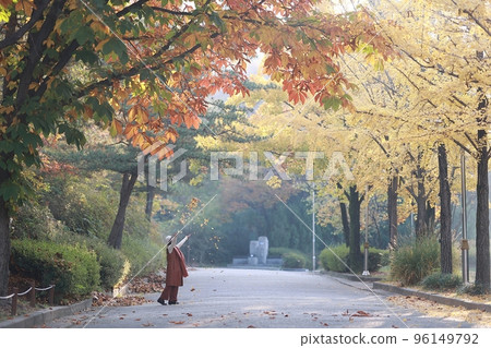 Beautiful autumn trip, autumn scenery 96149792