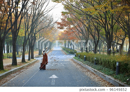 美麗的秋遊，秋天的風景 96149852