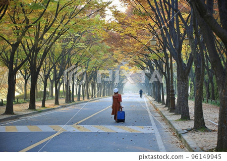 美麗的秋景，秋遊 96149945