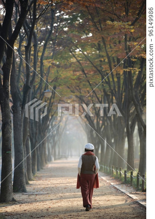 美麗的秋景,秋遊 美麗的秋景,秋遊 96149986