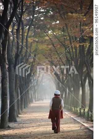 美麗的秋景,秋遊 美麗的秋景,秋遊 96149987