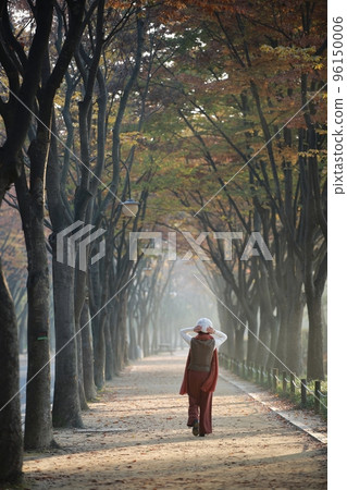 Beautiful autumn scenery, autumn trip 96150006