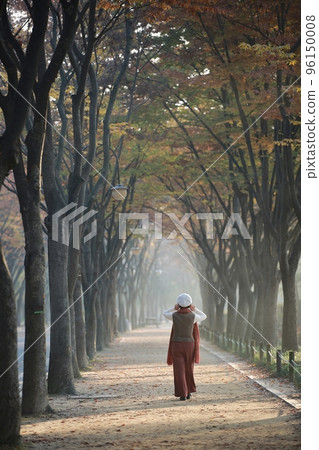 Beautiful autumn scenery, autumn trip 96150008