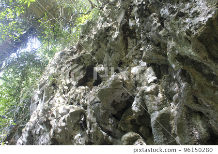 Beautiful nature rocks cliff in tropical jungle 96150280