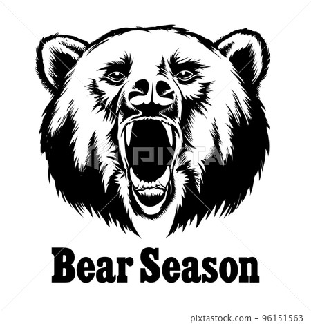 Hand drawn vector roaring bear. T-shirt design - Stock Illustration