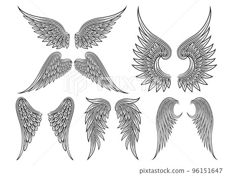 Vector heraldic wings or angel 96151647