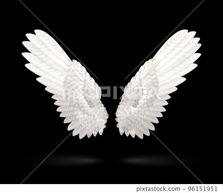 White Wings 96151951