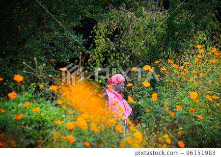 Jizo standing in the autumn field surrounded by yellow cosmos in full bloom 96151983