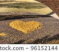 Fallen leaves 96152144