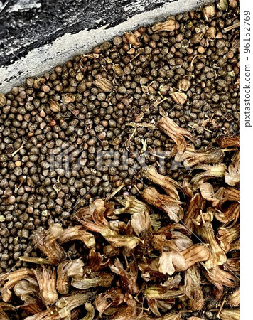 Perilla fruit harvested in early winter 96152769